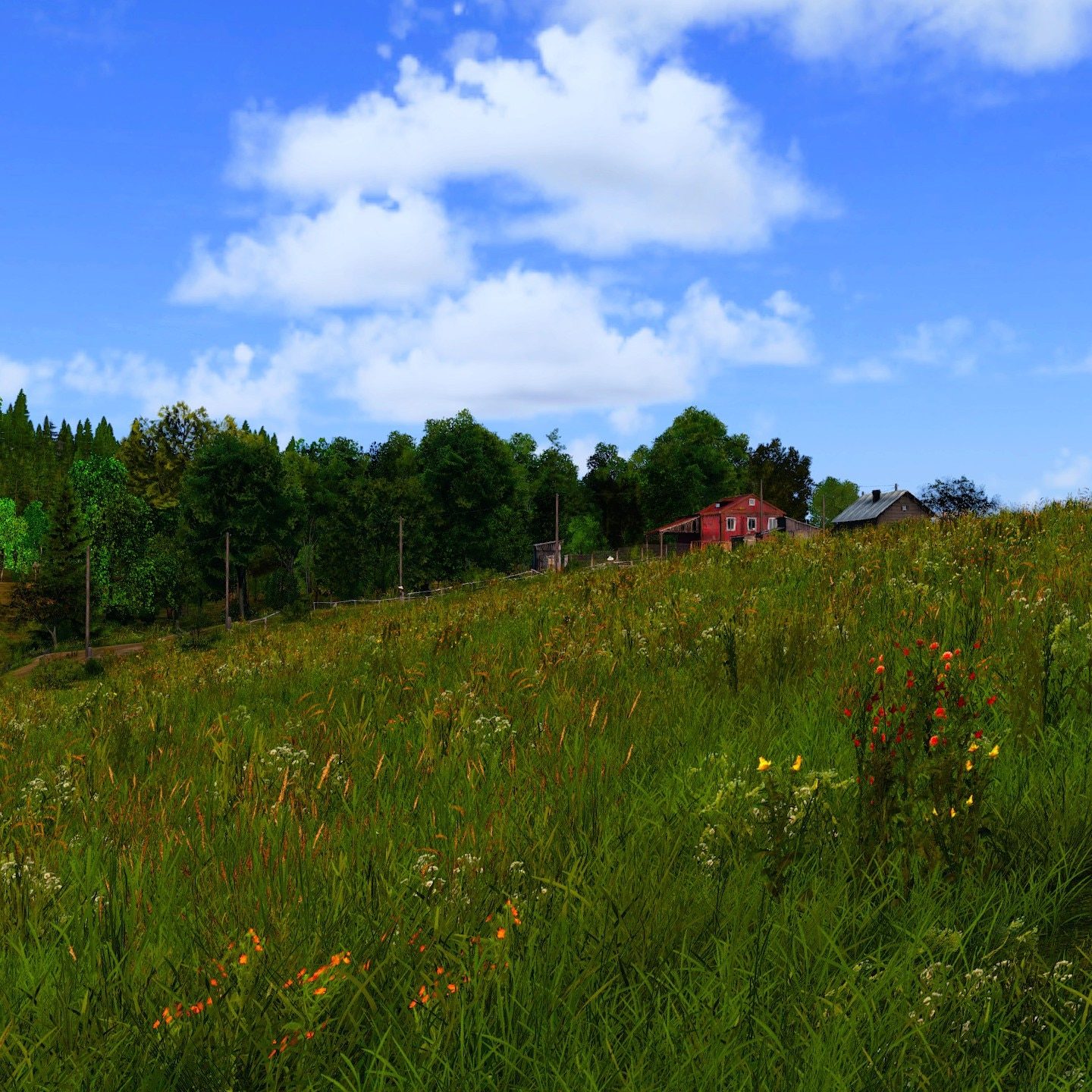 DayZ screenshot of summer Chernarus.